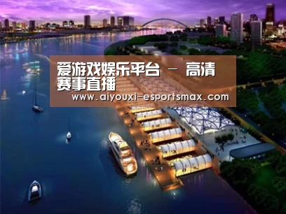 案例展示八