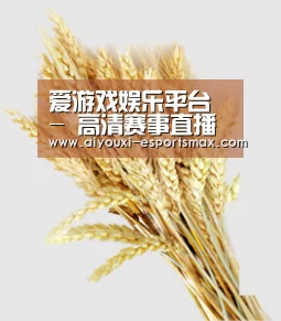 爱游戏娱乐平台 - 高清赛事直播