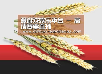 爱游戏娱乐平台 - 高清赛事直播