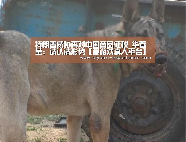 特朗普威胁再对中国商品征税 华春莹:请认清形势【爱游戏真人平台】(图1) 爱游戏娱乐平台
