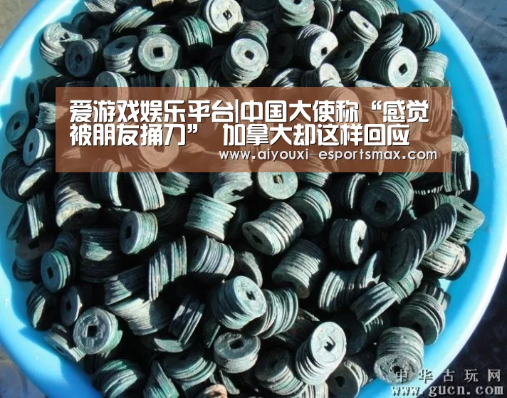 爱游戏娱乐平台|中国大使称“感觉被朋友捅刀” 加拿大却这样回应(图1) 爱游戏真人平台